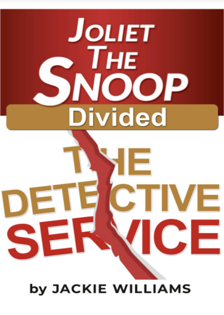 Young adult mystery book with a cover displaying the word "divided" split by a crack