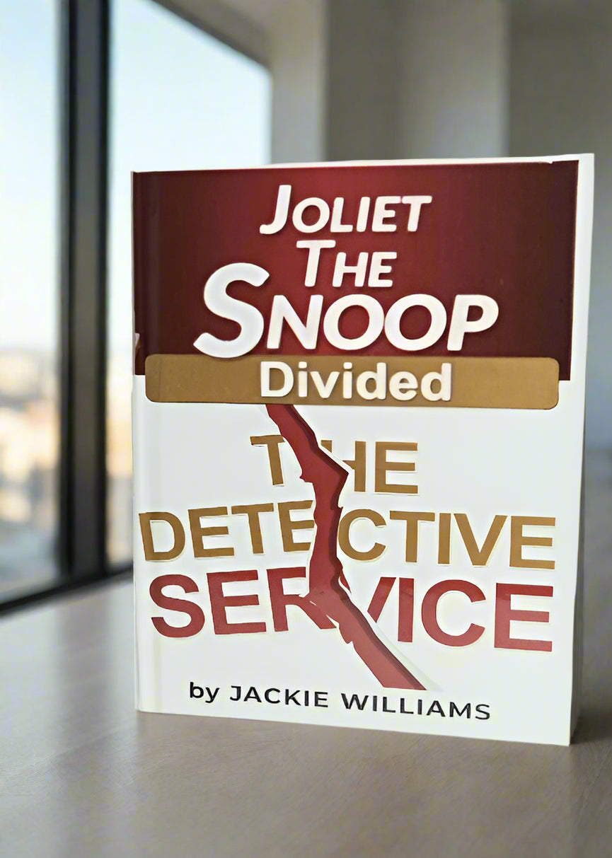 Young adult mystery book with a cover displaying the word "divided" split by a crack