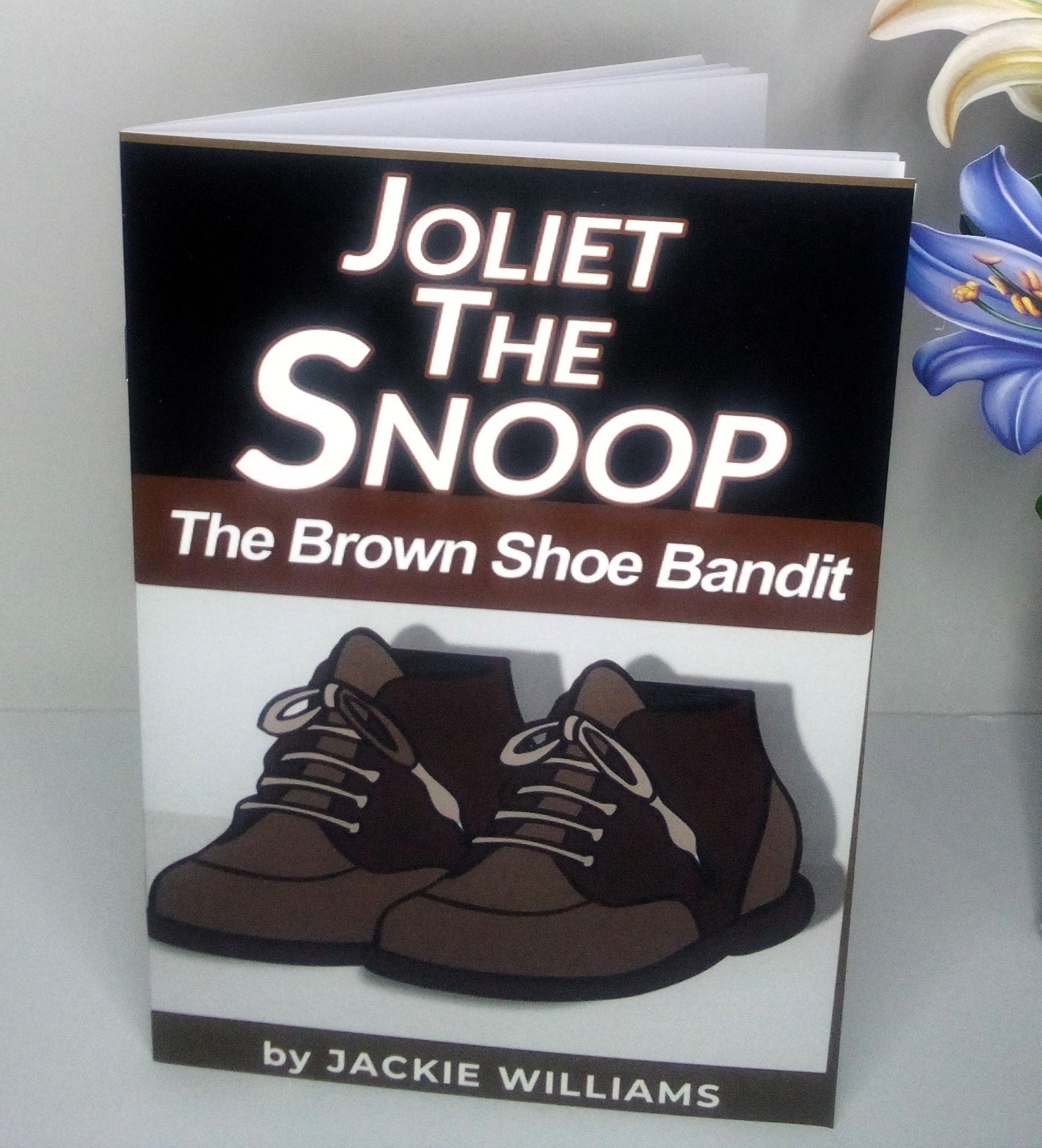 Young adult mystery book depicting a pair of brown shoes