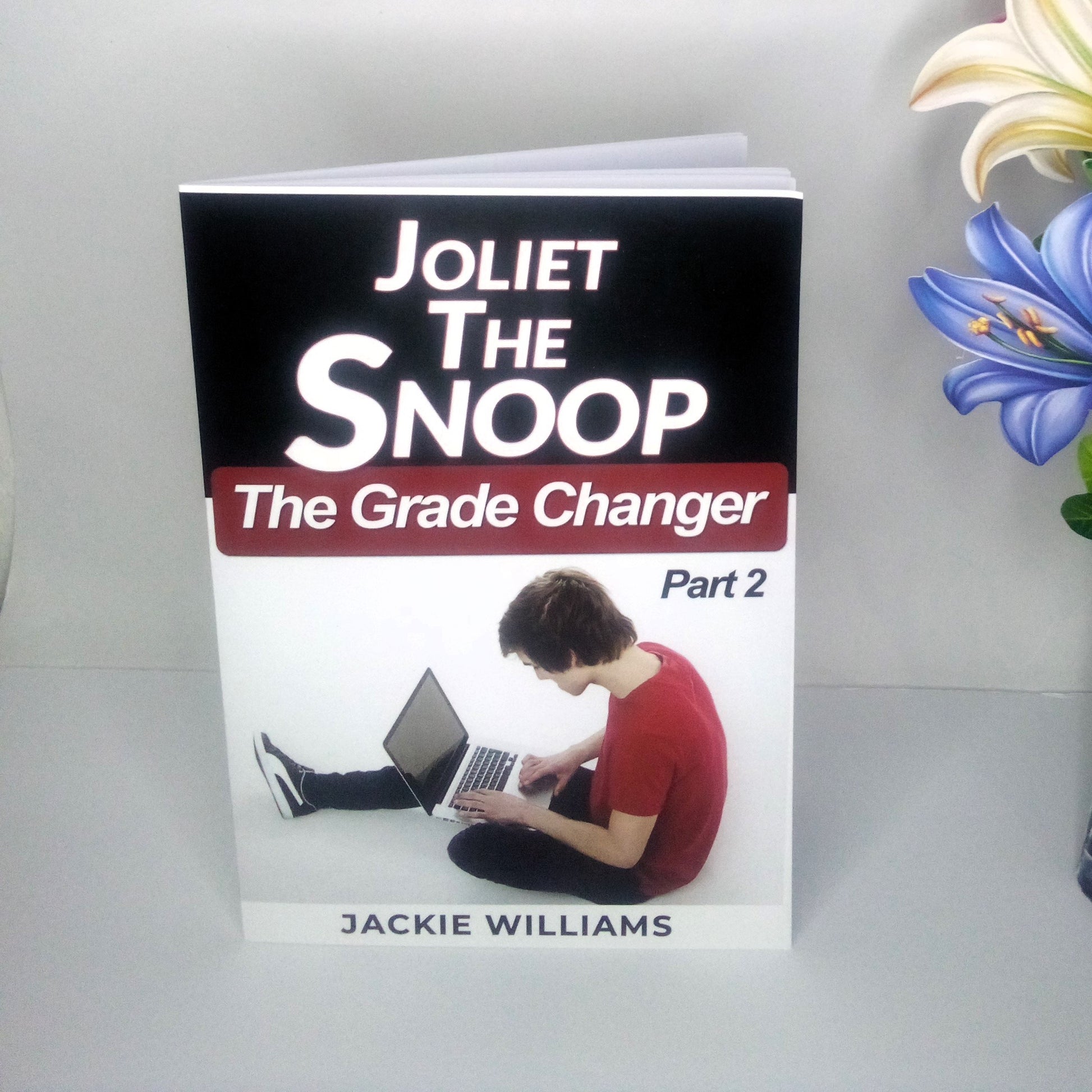 Young adult mystery book depicting a white teen boy on a laptop